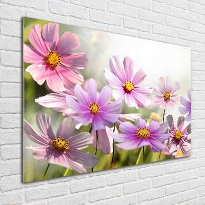 Acrylglas-Druck Blumen auf der Wiese