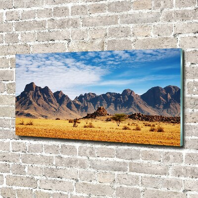Bild auf Acrylglas Felsen in Namibia