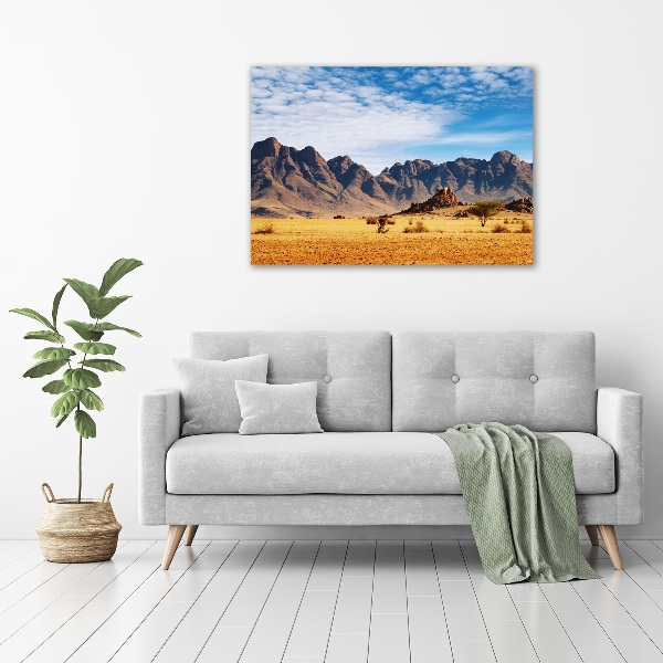 Bild auf Acrylglas Felsen in Namibia
