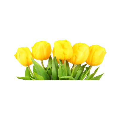 Foto auf Acryl Gelbe Tulpen