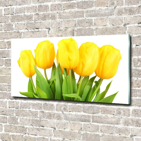 Foto auf Acryl Gelbe Tulpen