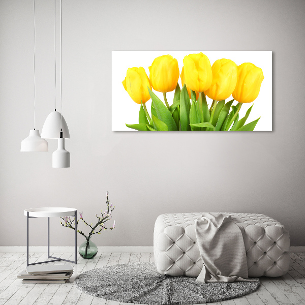 Foto auf Acryl Gelbe Tulpen