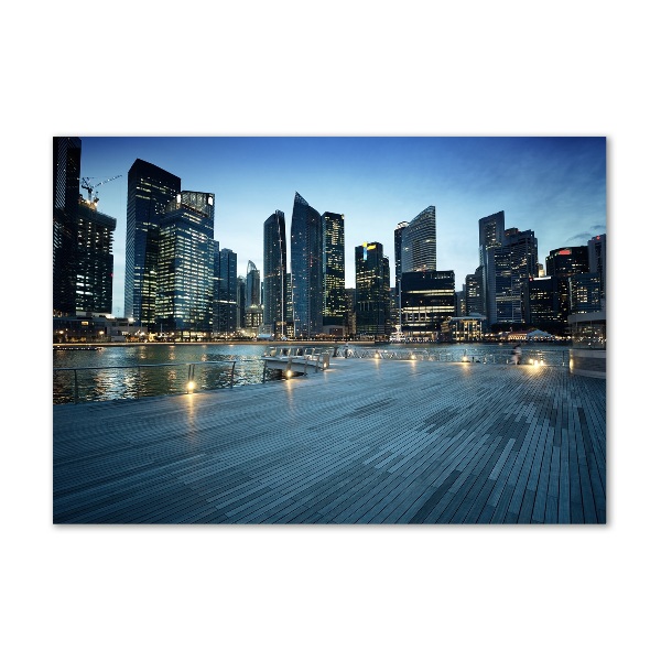 Bild auf Acrylglas Singapur bei Nacht