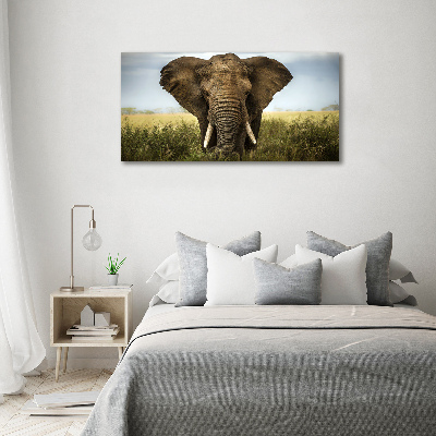Foto auf Acryl Elefant in der Savanne