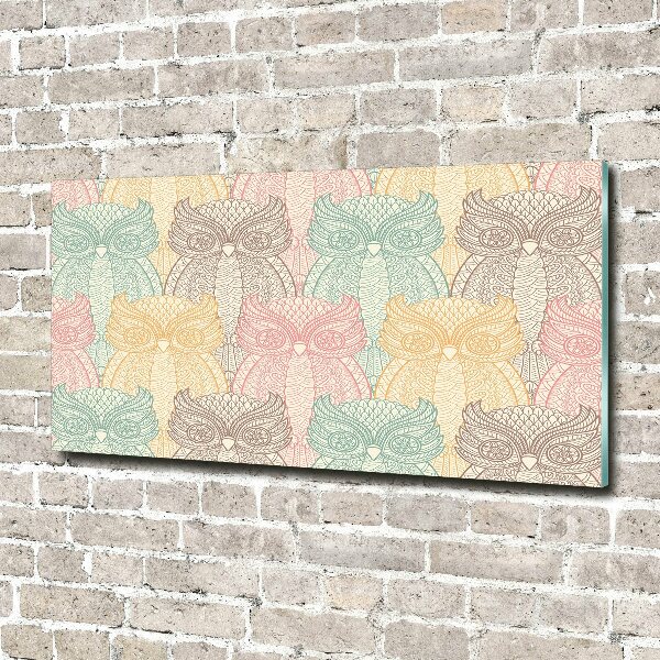 Acrylglas-Druck Eulen