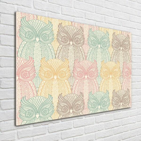 Acrylglas-Druck Eulen