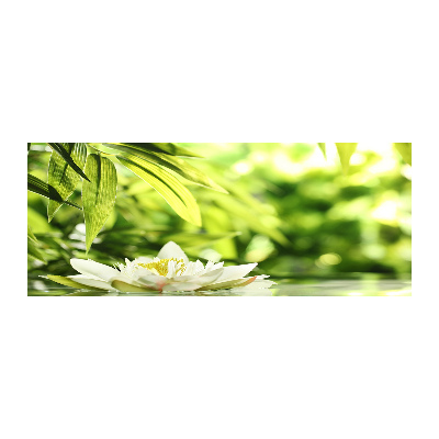 Acrylbild Fotodruck Seerose