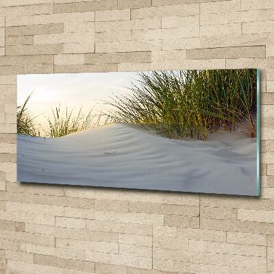 Foto auf Acryl Küstendünen