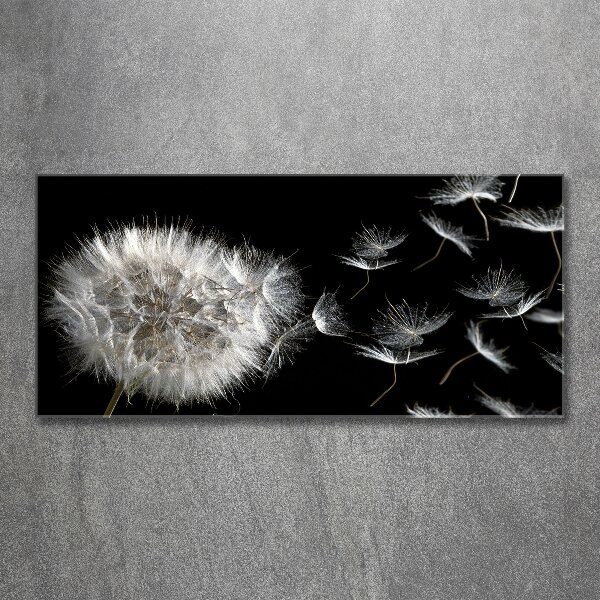 Acrylbild Fotodruck Löwenzahn