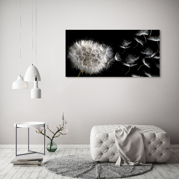 Acrylbild Fotodruck Löwenzahn