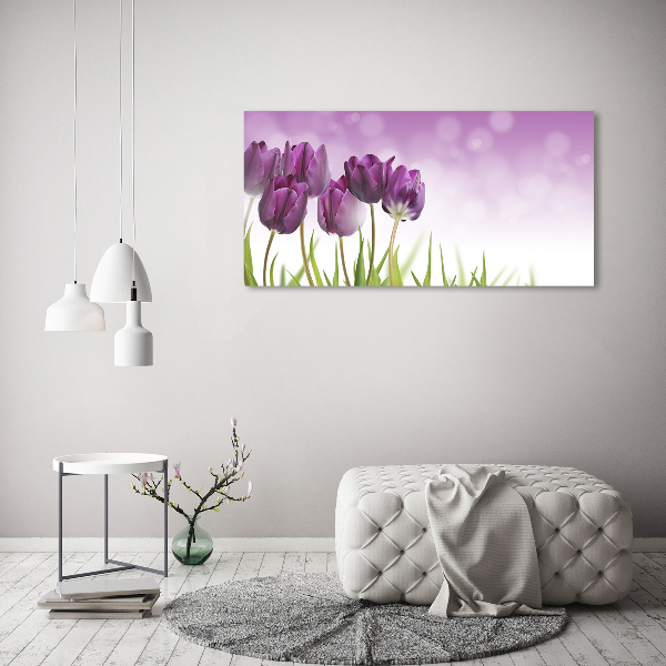 Acrylglas-Druck Lila Tulpen