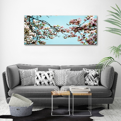 Foto auf Acryl Magnolienblüten
