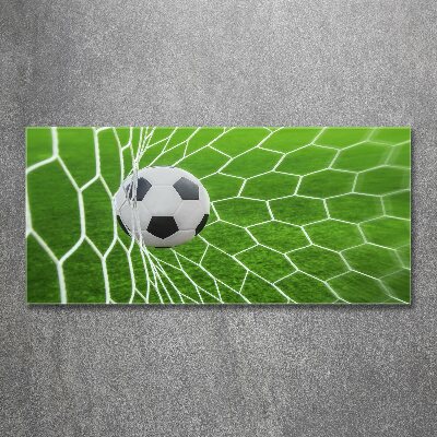 Acrylbild Fotodruck Der Ball ist im Tor