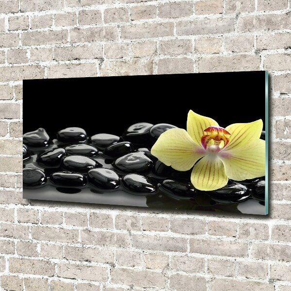 Acrylglas-Druck Orchidee