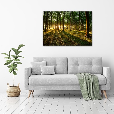 Acrylbild Fotodruck Sonnenstrahlen