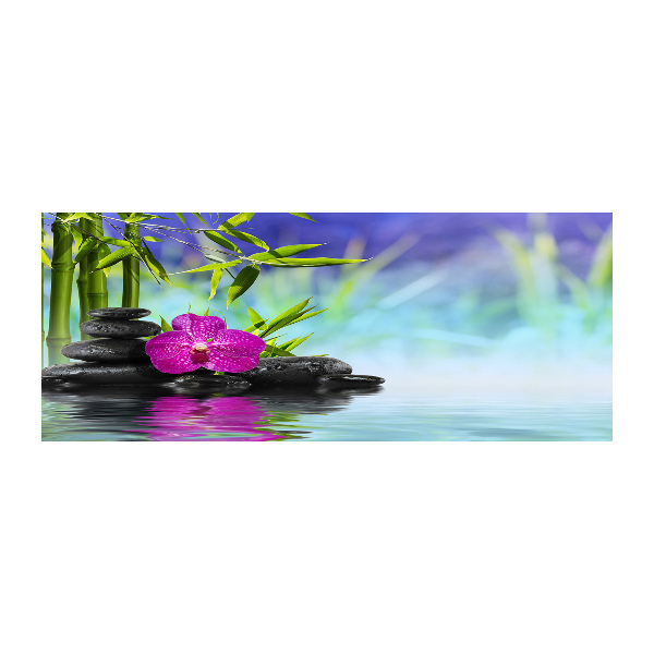 Bild auf Acrylglas Bambusorchidee