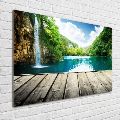 Bild auf Acrylglas Wasserfall im Wald