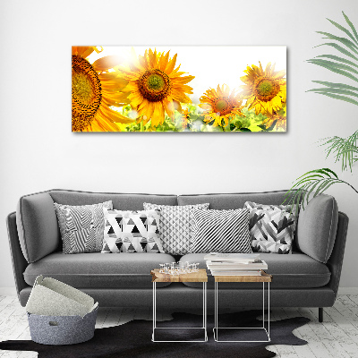 Acrylglas-Druck Sonnenblumen