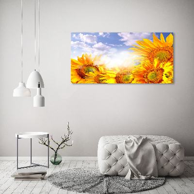 Bild auf Acrylglas Sonnenblumen