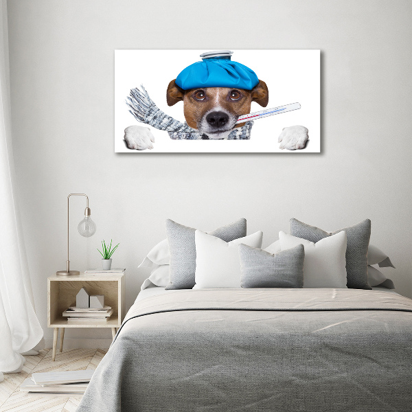 Foto auf Acryl Kranker Hund