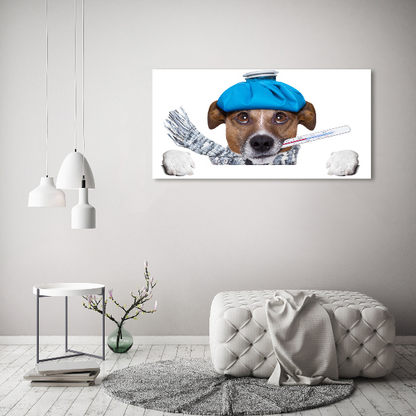 Foto auf Acryl Kranker Hund