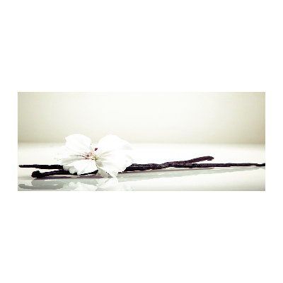 Acrylglas-Druck Vanilleschote