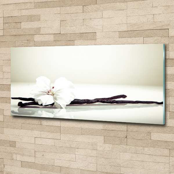 Acrylglas-Druck Vanilleschote