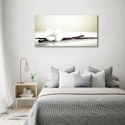 Acrylglas-Druck Vanilleschote