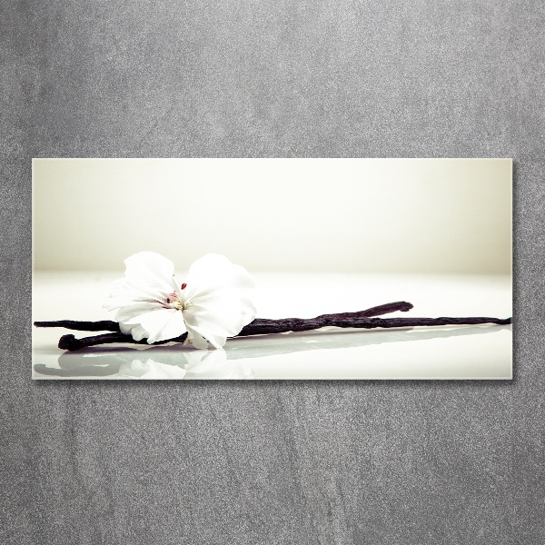 Acrylglas-Druck Vanilleschote