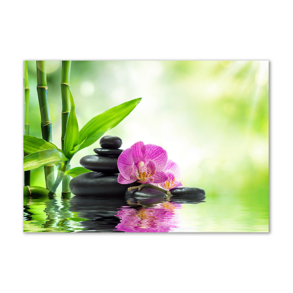 Foto auf Acryl Orchidee