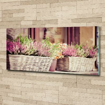 Acrylbild Fotodruck Lavendel im Topf