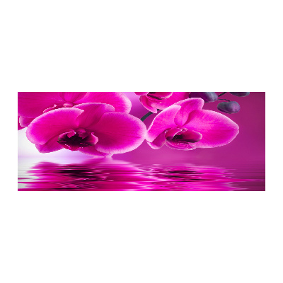 Foto auf Acryl Orchidee