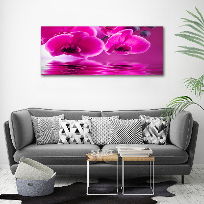 Foto auf Acryl Orchidee