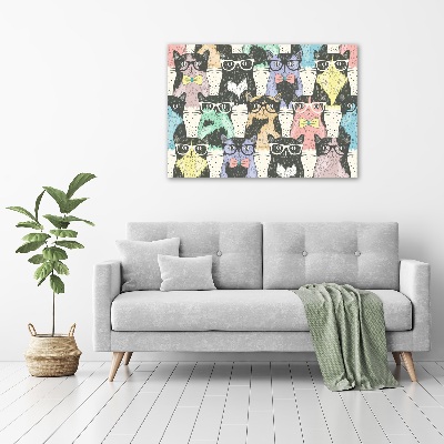 Acrylbild Fotodruck Katzen mit Brille
