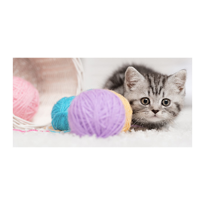 Bild auf Acrylglas Katze mit Garnknäueln