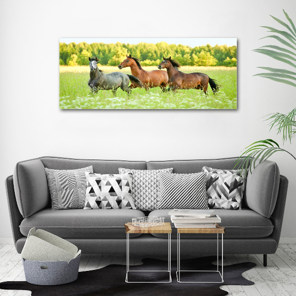 Foto auf Acryl Pferde im Galopp