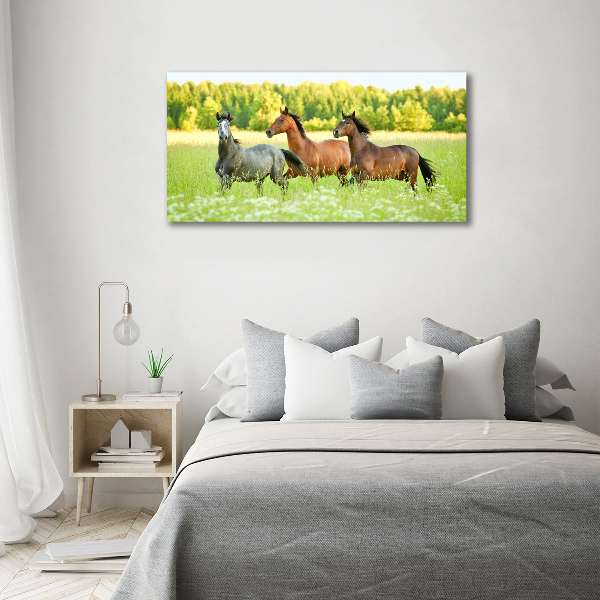 Foto auf Acryl Pferde im Galopp