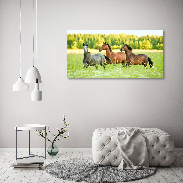 Foto auf Acryl Pferde im Galopp