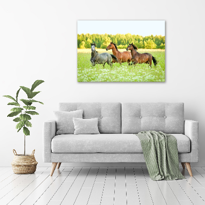 Foto auf Acryl Pferde im Galopp