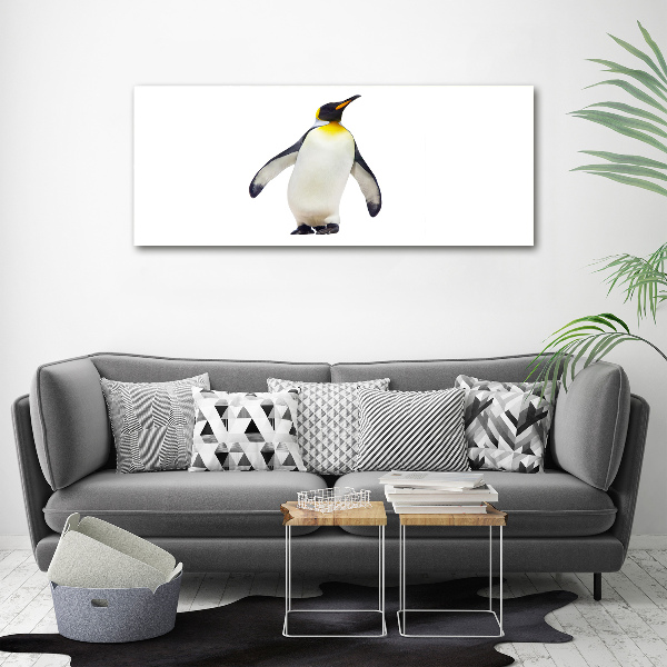 Bild auf Acrylglas Pinguin