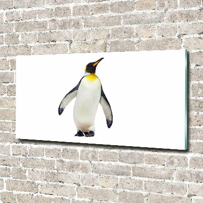 Bild auf Acrylglas Pinguin