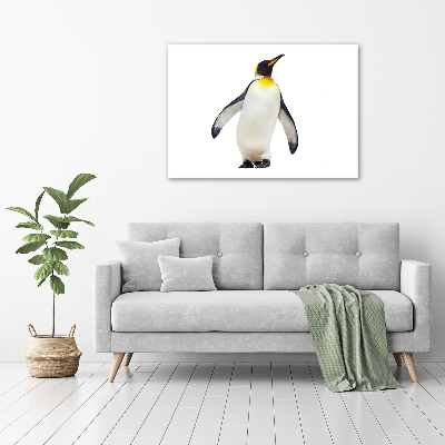 Bild auf Acrylglas Pinguin