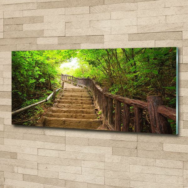 Acrylbild Fotodruck Treppe im Wald