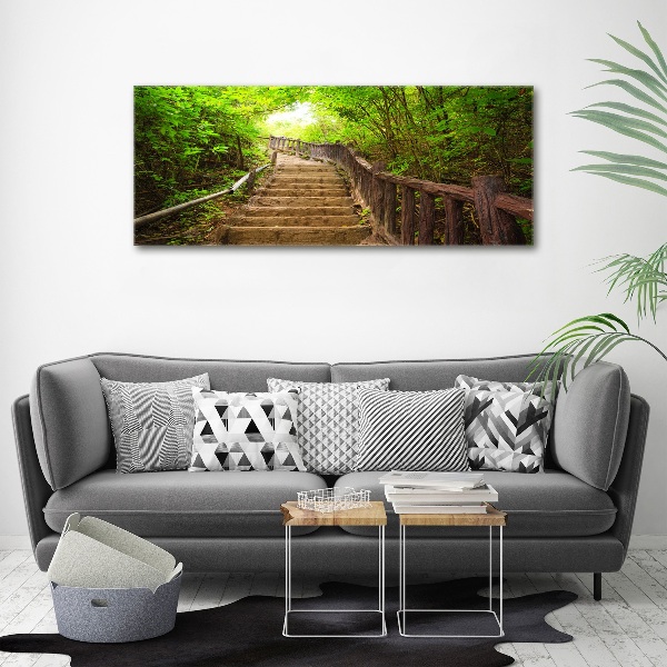 Acrylbild Fotodruck Treppe im Wald