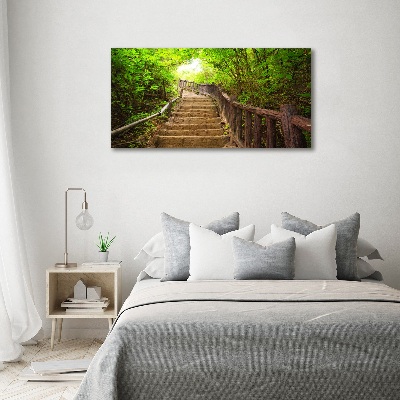 Acrylbild Fotodruck Treppe im Wald