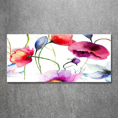 Acrylbild Fotodruck Mohnblumen