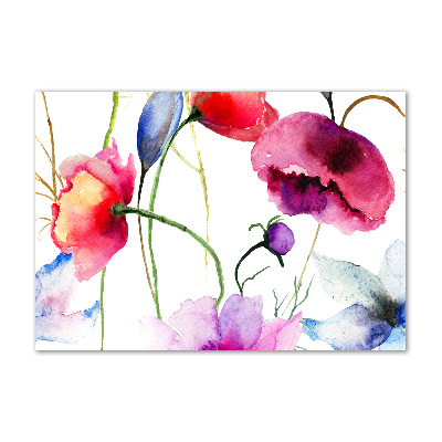 Acrylbild Fotodruck Mohnblumen