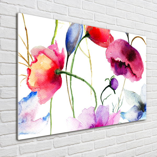 Acrylbild Fotodruck Mohnblumen