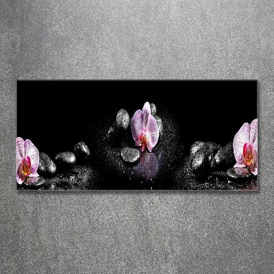 Acrylglas-Druck Orchidee