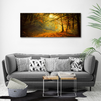 Acrylglas-Druck Wald im Herbst
